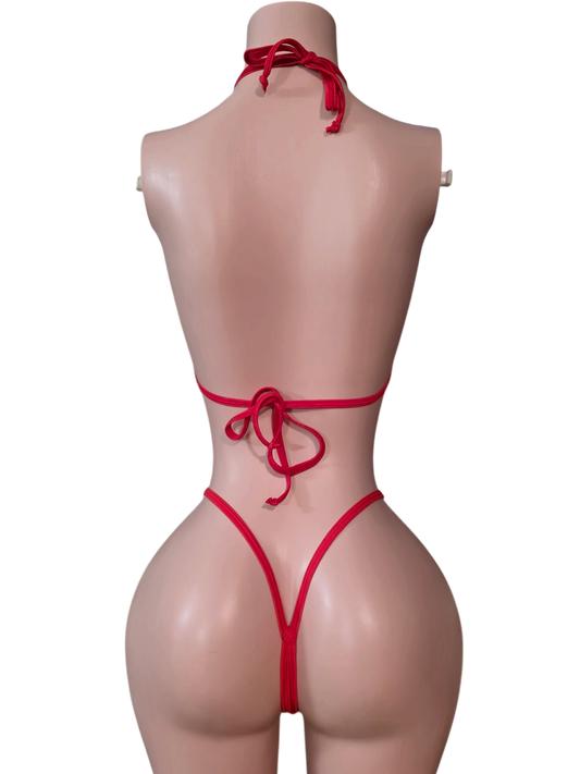 Scarlet Seduction Micro Lace Bikini Set